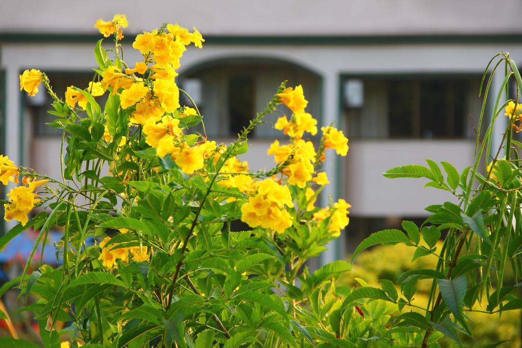 Aveda Blue Country Resort Panchgani Luaran gambar